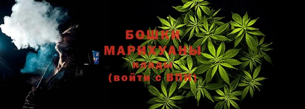 эйфоретик Тайга