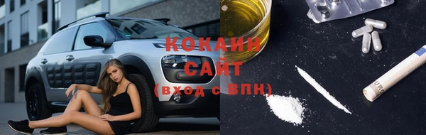 эйфоретик Тайга