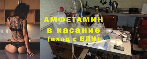 эйфоретик Тайга